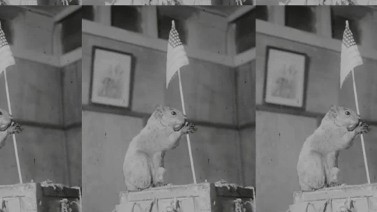Amerika ledobta a GIF-bombát a hazafias mókussal
