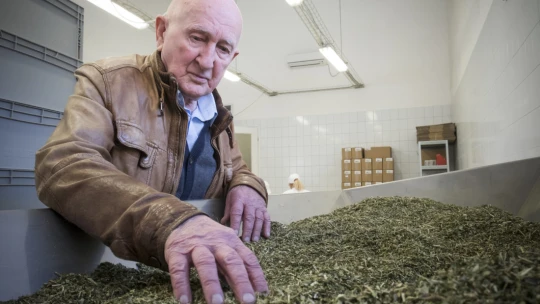 Legyenek olyan egészségesek, mint én!