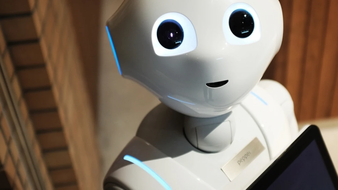 Hogyan akadályozd meg, hogy egy robot elvegye a munkád?