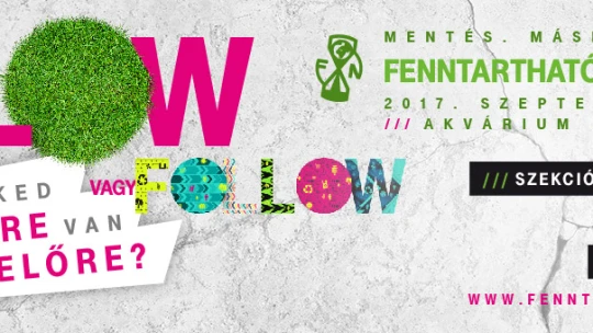 FLOW vagy FOLLOW – Neked merre van előre