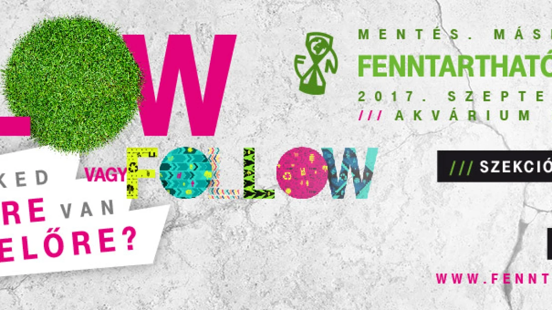 FLOW vagy FOLLOW – Neked merre van előre