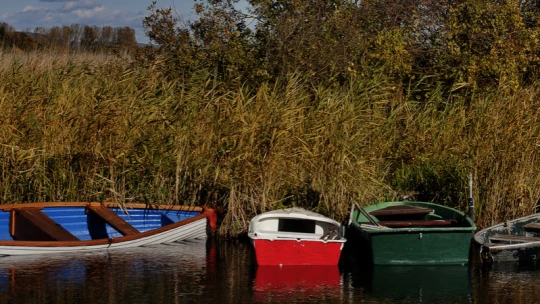 Összeszorított foggal nyomják a pedált jövő nyárig a Balaton vállalkozásai
