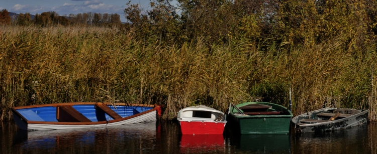 Nagyon Balaton: Mészáros Lőrinc tovább nyújtózik a tó partján