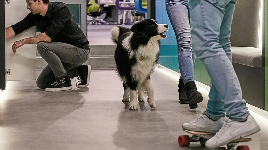 Csak hangzatos szlogen marad a munkahelyi jóllét?