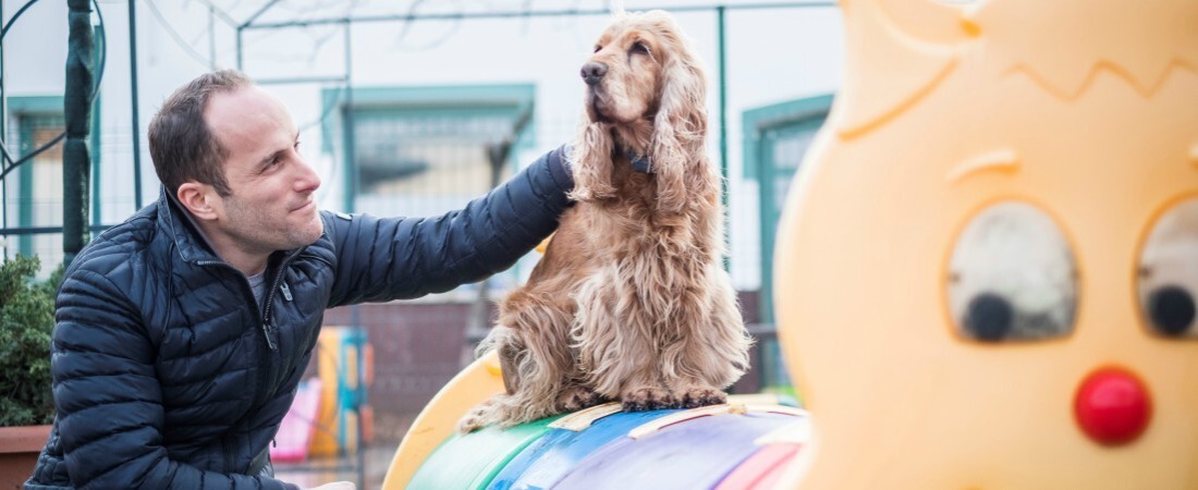 Kutyák trambulinon: cégbirodalom sétáltatásból