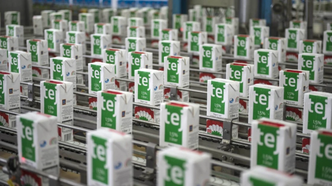 Magyar márkát vett az Aldi: jön a kokárdás túró rudi
