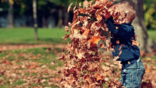 Kevés szülő gyűjt gyereke jövőjére