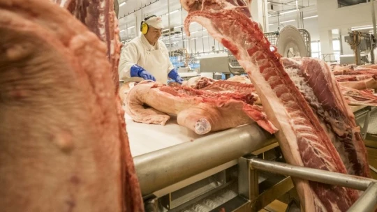 Csányi Sándor agrárbirodalmához is kiszáll a honvédség – ezekkel a cégekkel bővült a lista