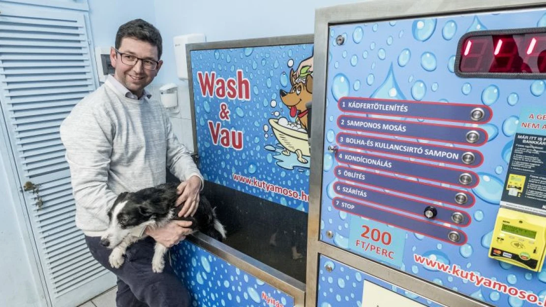Azonnal szerelembe esett egy kutyafürdető géppel – országos bizniszt épít belőle