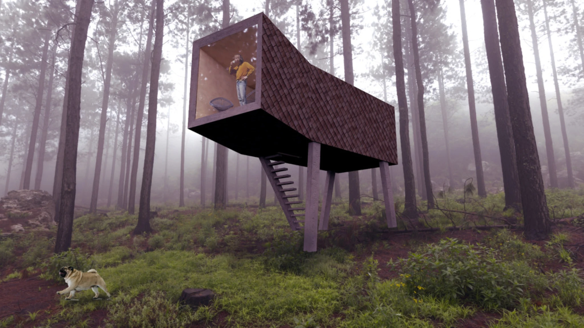 Huszár András: Wauhaus // Kép: Hello Wood