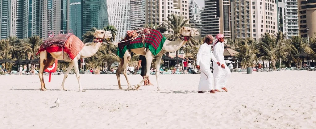 Fredrik Öhlander, Unsplash