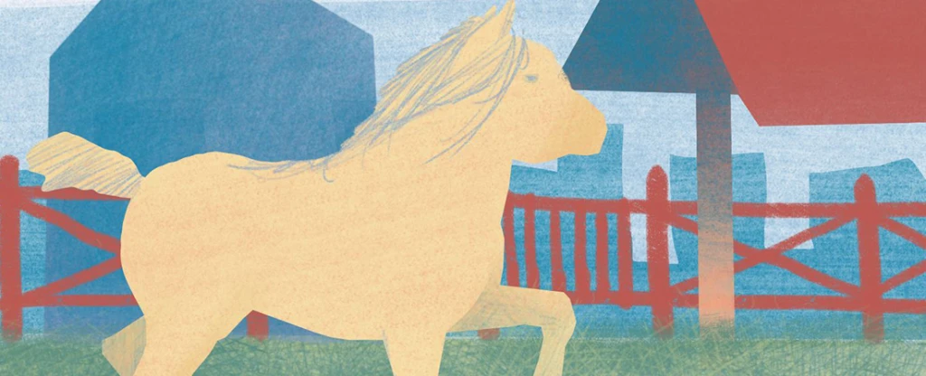 Illusztráció: Risto Avramovski