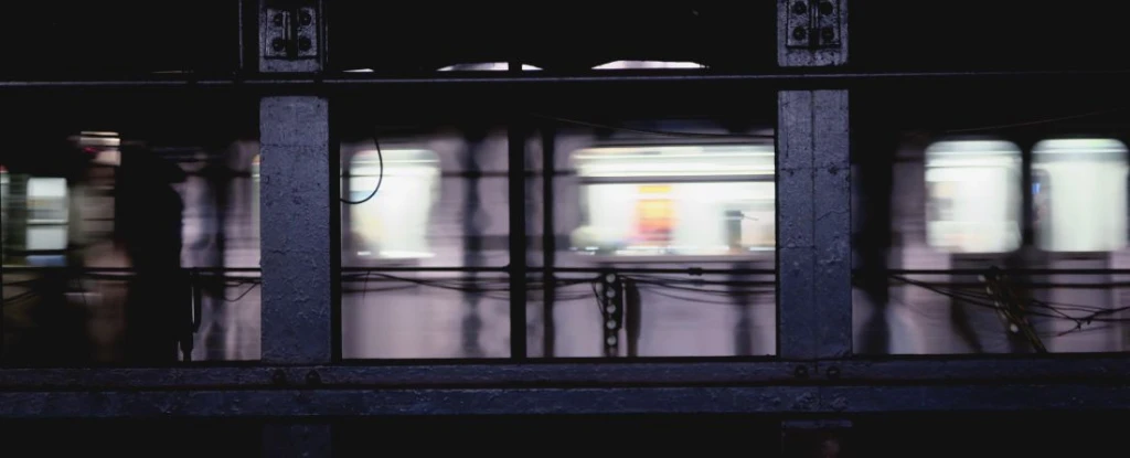 Fotó: Shell Sitton // Unsplash