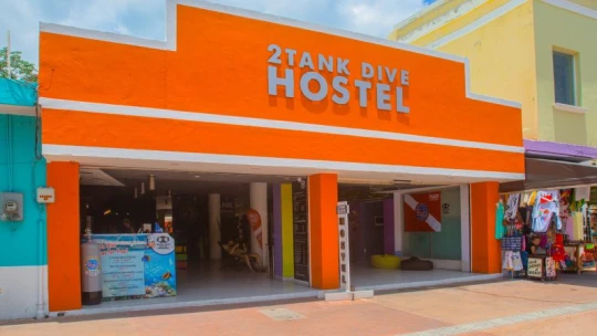 Párszor elbukta minden pénzét, ma Mexikóban üzemeltet búvárhostelt