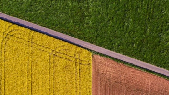 Az agrárvállalkozásoknál nincs munkaerőhiány, de új beruházásokat nem terveznek