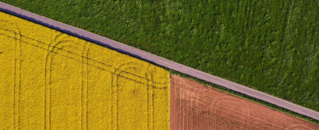 Az agrárvállalkozásoknál nincs munkaerőhiány, de új beruházásokat nem terveznek