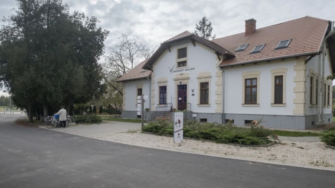 Mészáros Lőrinc (megint) bevásárolt: övé lett Simicska egykori, jól menő agrárcége