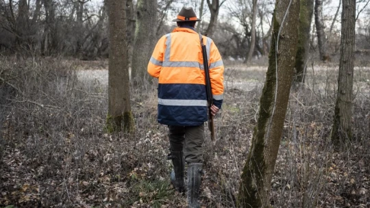 Jól van, szól a puska! – Megnéztük, hogy zajlik egy gemenci vadászat