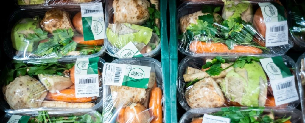 Kép: Sebestyén László