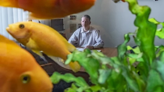 212 millió forintért adták el a legrégebb óta működő magyar játékfejlesztő céget