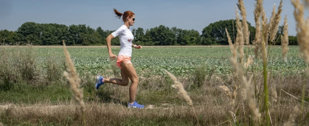 Fotó: Orbital Strangers