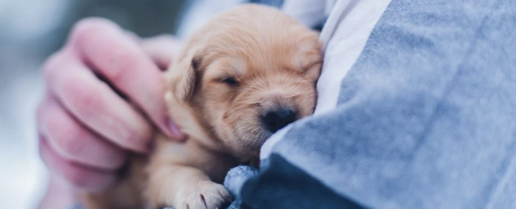 Kép: Lydia Torrey // Unsplash