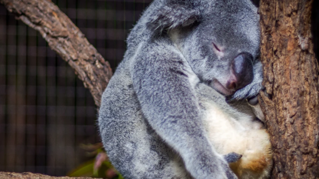 5 tipp, hogy stresszmentesen induljon a reggel