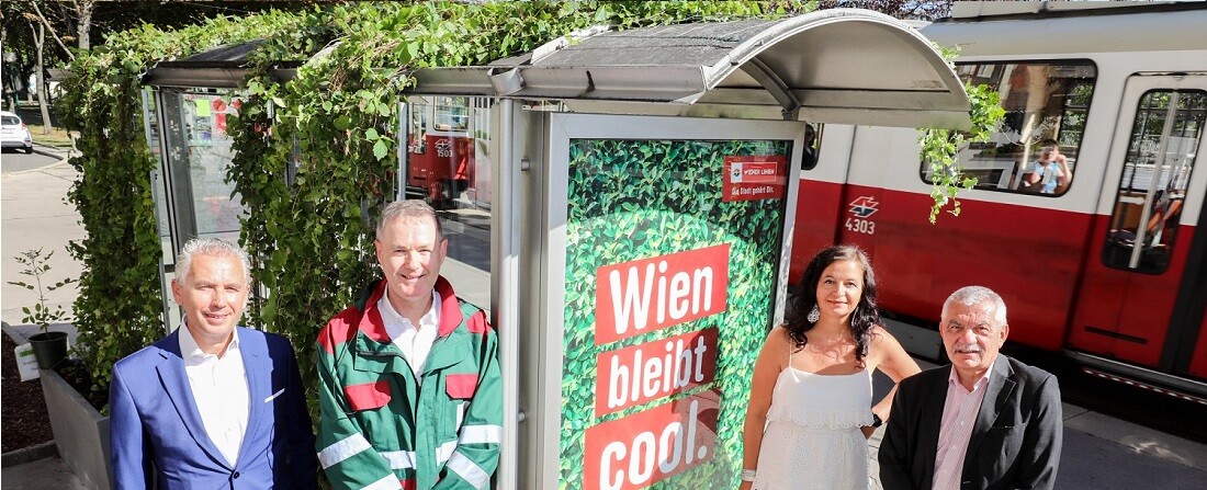 Tovább zöldül Bécs: zöldtetős busz- és villamosvárókkal harcolnak a hősziget-jelenség ellen