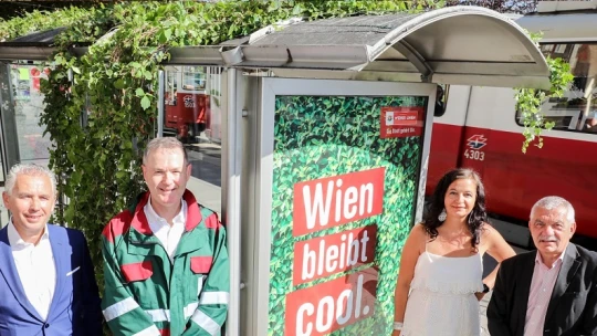 Tovább zöldül Bécs: zöldtetős busz- és villamosvárókkal harcolnak a hősziget-jelenség ellen