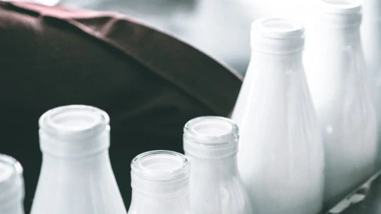 A csodatej. A legtutibb befektetés és még egészségesebbnek is hiszik