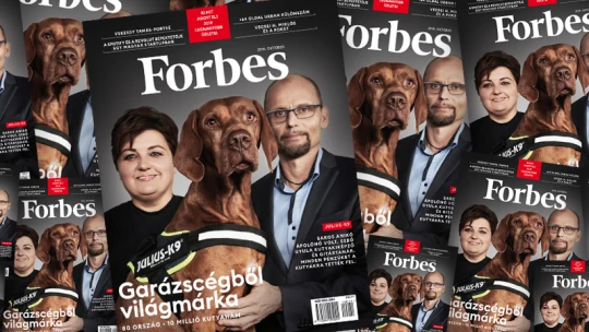 Ha örökbe fogadsz egy kutyát, kettőt mentesz meg – minden nap sétanap a tárnoki Ebárvaházban