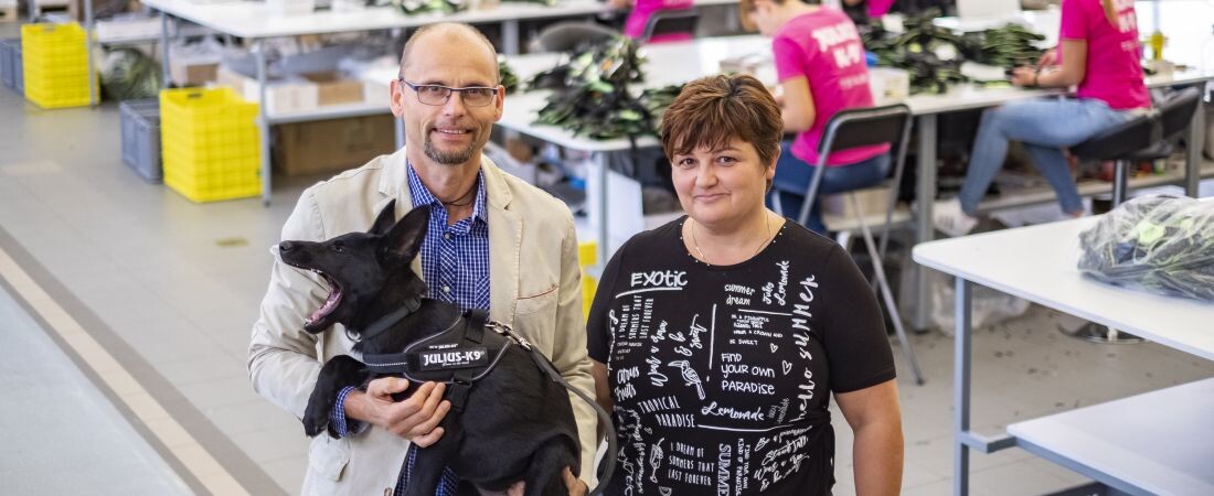 A kutyások Nike-ja lenne a világhódító magyar kutyahám – 9 érdekesség a Julius-K9-ről a Forbes címlapsztorijából