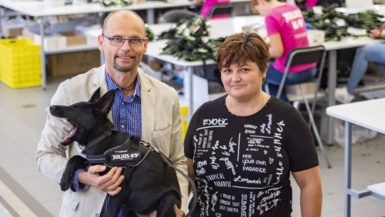 A kutyások Nike-ja lenne a világhódító magyar kutyahám – 9 érdekesség a Julius-K9-ről a Forbes címlapsztorijából