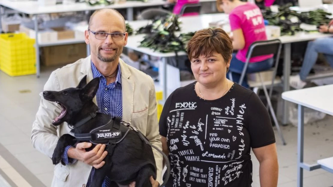 A kutyások Nike-ja lenne a világhódító magyar kutyahám – 9 érdekesség a Julius-K9-ről a Forbes címlapsztorijából