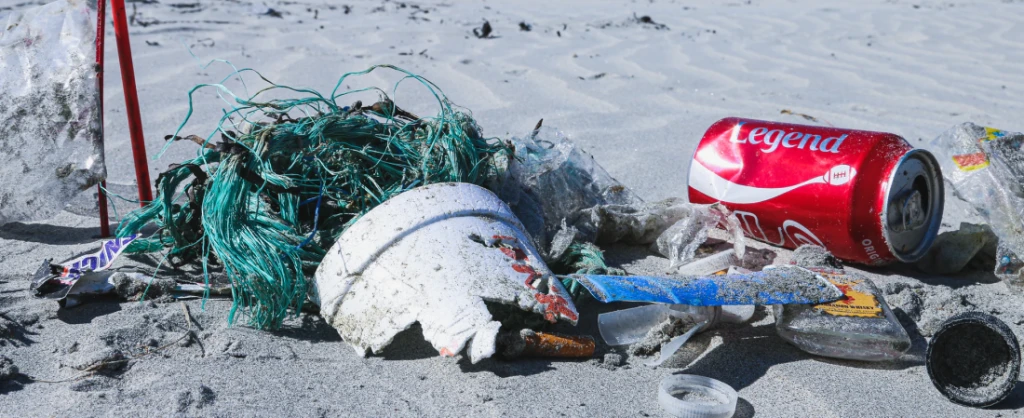 Brian Yurasits / Unsplash