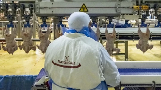 Mi történt Kisvárdán? Csökkent a profit a magyar baromfi-birodalomban