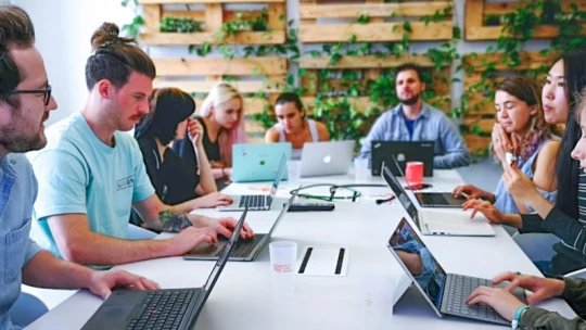 Ingyenes hazai startupképzés indul a fenntarthatóságért tevékenykedő vállalkozóknak