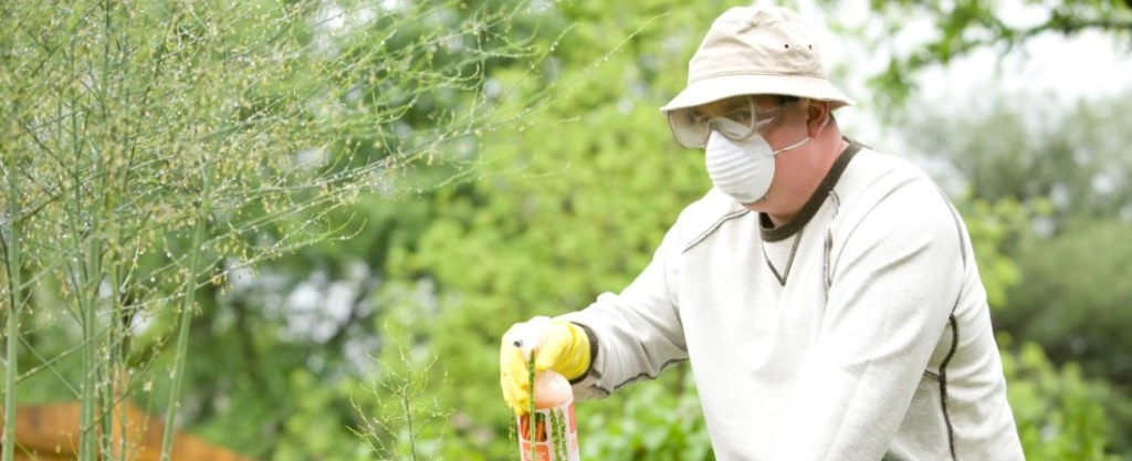 Allergia és koronavírus egyszerre – erre figyeljünk, mert mindjárt bedurvul a pollenszezon