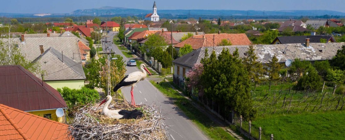 Új fészektartókkal várják a gólyaszezont a magyar villanyoszlopok