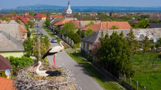 Új fészektartókkal várják a gólyaszezont a magyar villanyoszlopok