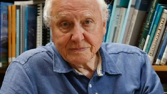 Karanténoktatás: David Attenborough földrajzot fog tanítani az iskolásoknak