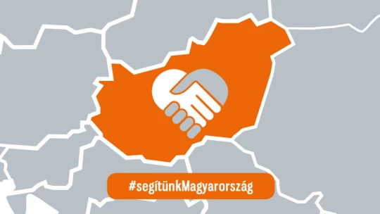 Felelős vagy a rózsádért…
