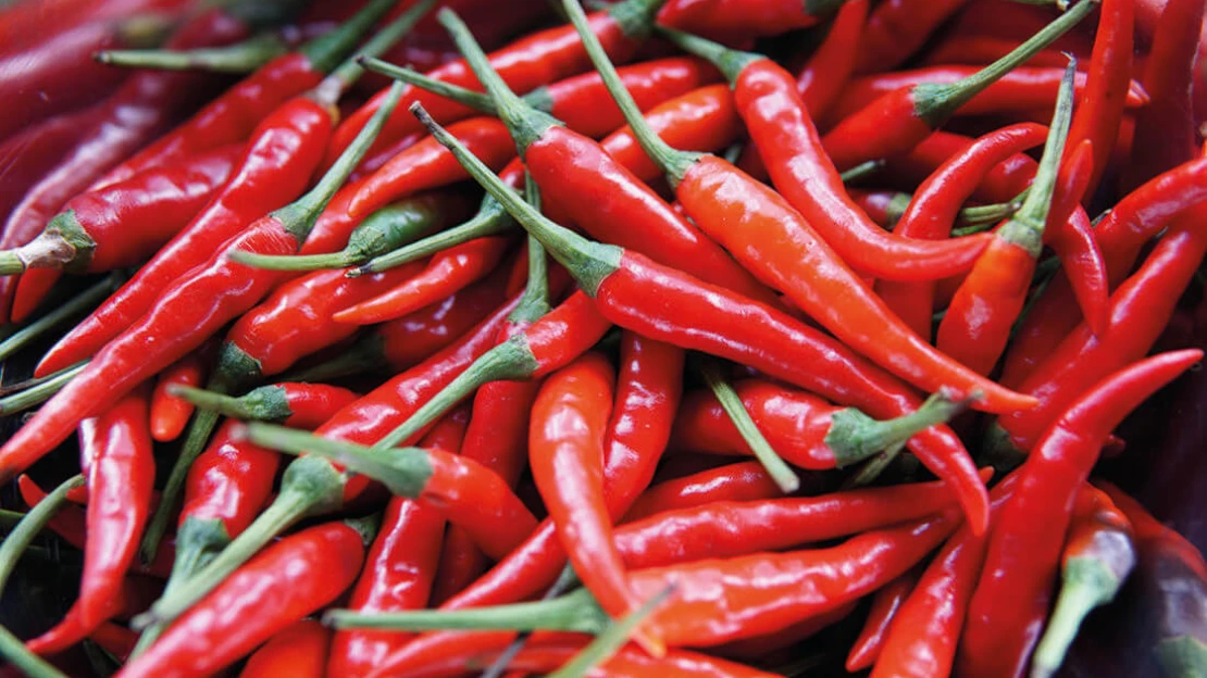 Ami bolti, az vegyszerrel van tömve?
