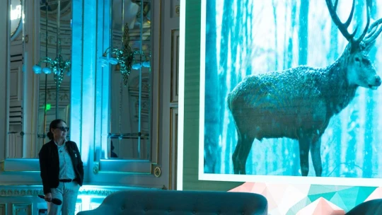 Fontos pozícióban Enyedi Ildikó a cannes-i filmfesztiválon