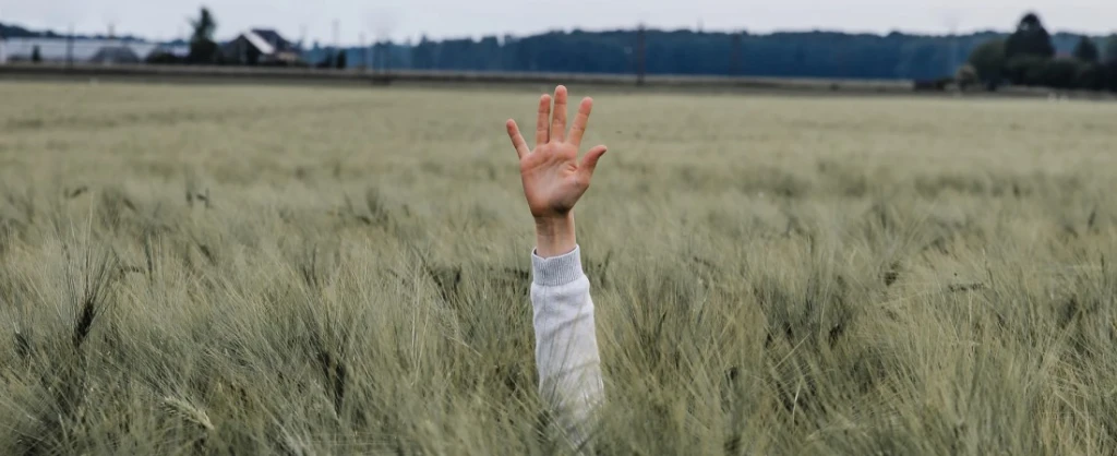 Jonny Caspari / Unsplash