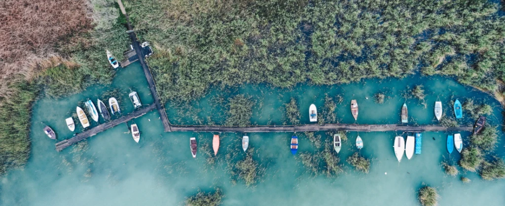 Bence Balla-Schottner / Unsplash