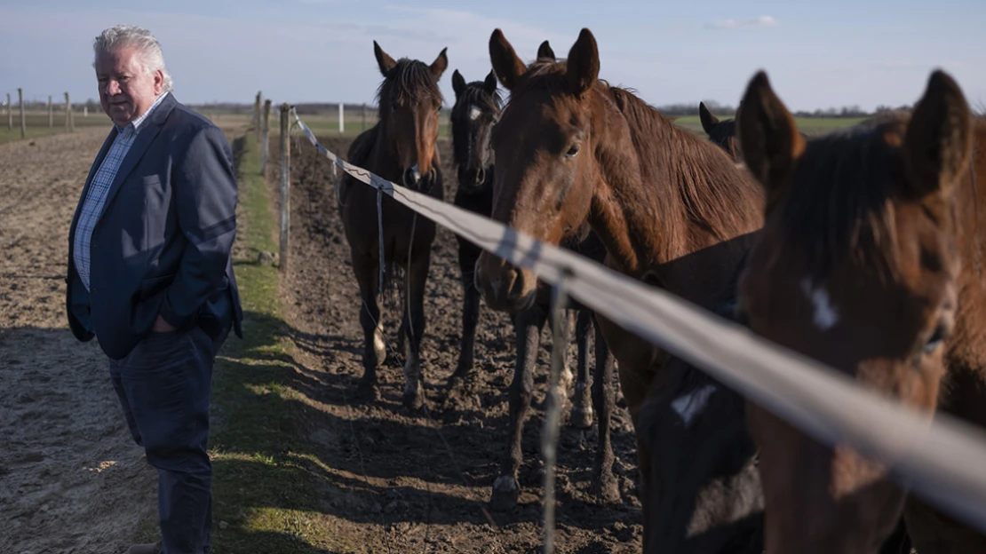 Gyémánt nincs,  féldrágakő van