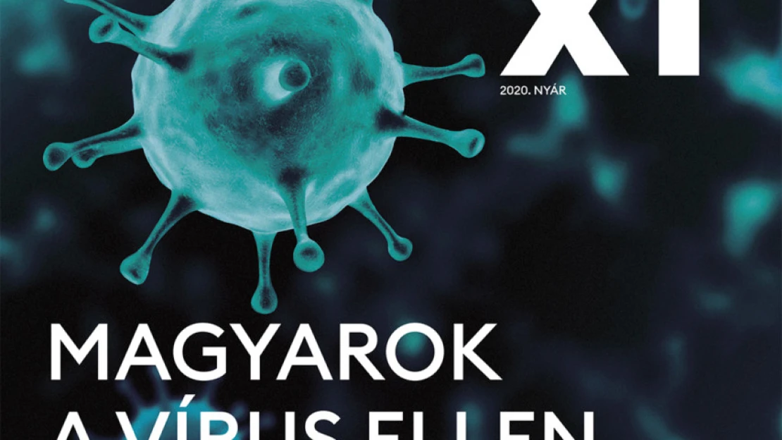 Szuperhősök nélkül