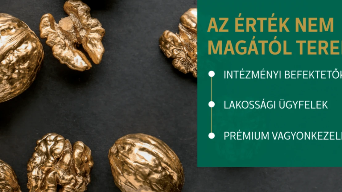 Túravezető a pénzügyekhez