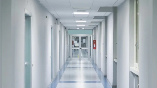 Egyre népszerűbb külföldön a magyar önfertőtlenítő burkolat, Amerikából és a Közel-Keletről is rendelnek belőle